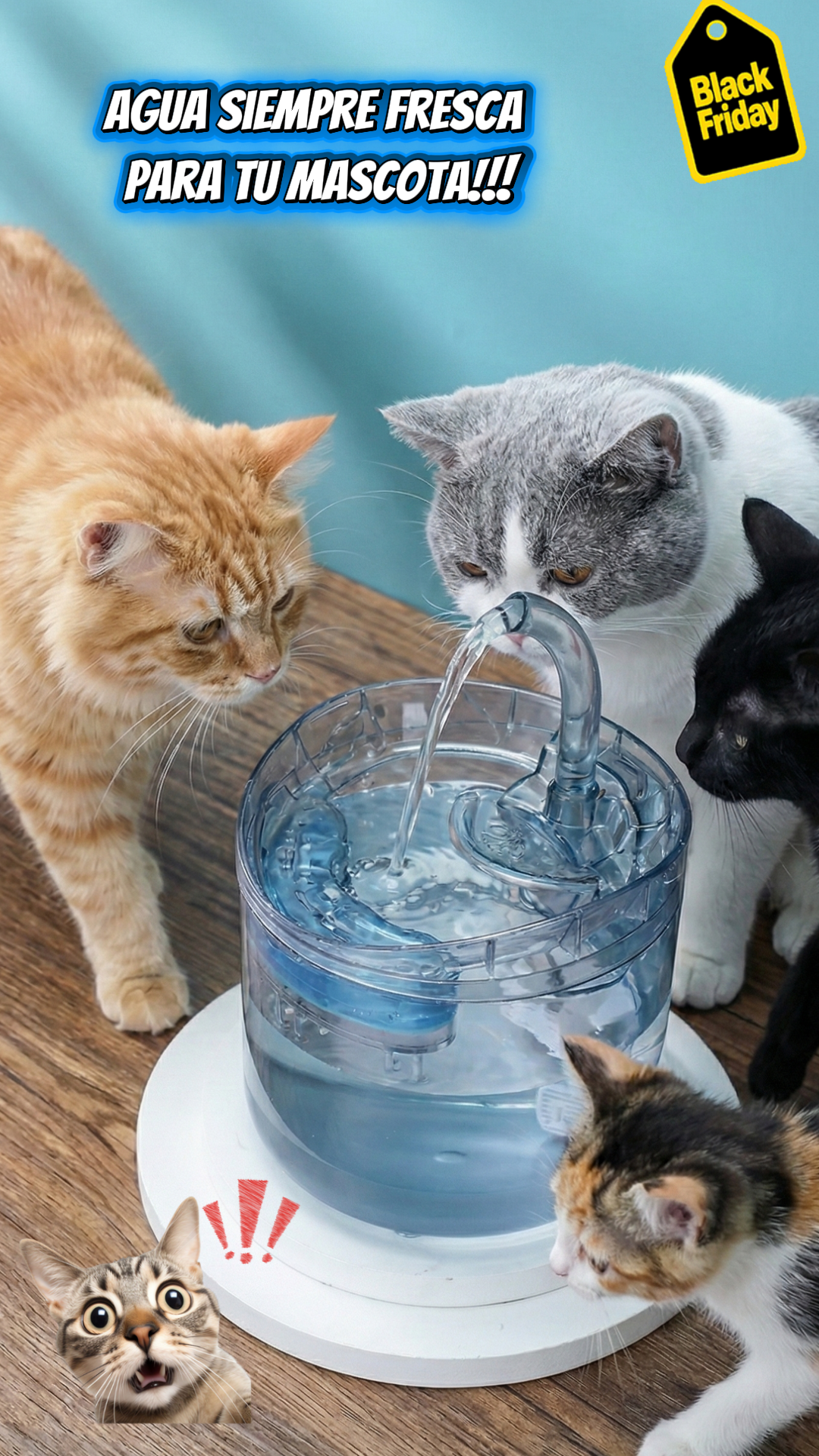 🐾🐾Fuente Purificadora– Hidratación Saludable Todo el Día🐾🐾