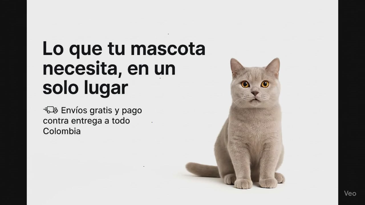 Cargar video: 